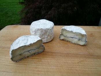 Sandy Creek Cheese